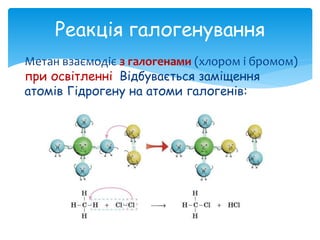 Реакція галогенування
Метан взаємодіє з галогенами (хлором і бромом)
при освітленні. Відбувається заміщення
атомів Гідрогену на атоми галогенів:
 