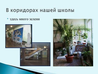 здесь много зелени
 