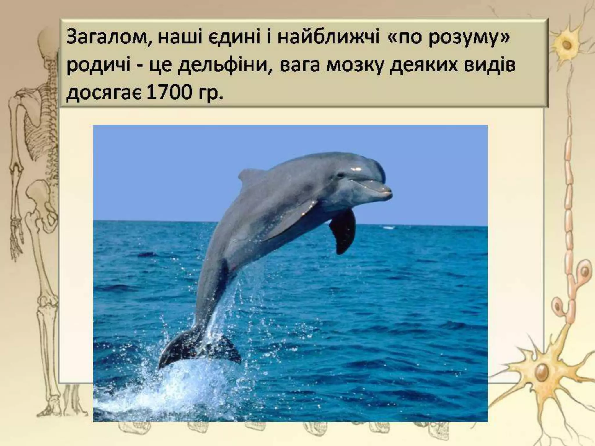 Неймовірно, але факт!
 Мозок вождя пролетаріату В.Леніна – 1340 г;
 Мозок письменника І.Тургенєва – 2012 г;
 Мозок письменника А.Франса – 1017 г;
 Мозки психічнохворих людей – 2700-2900 г.
 