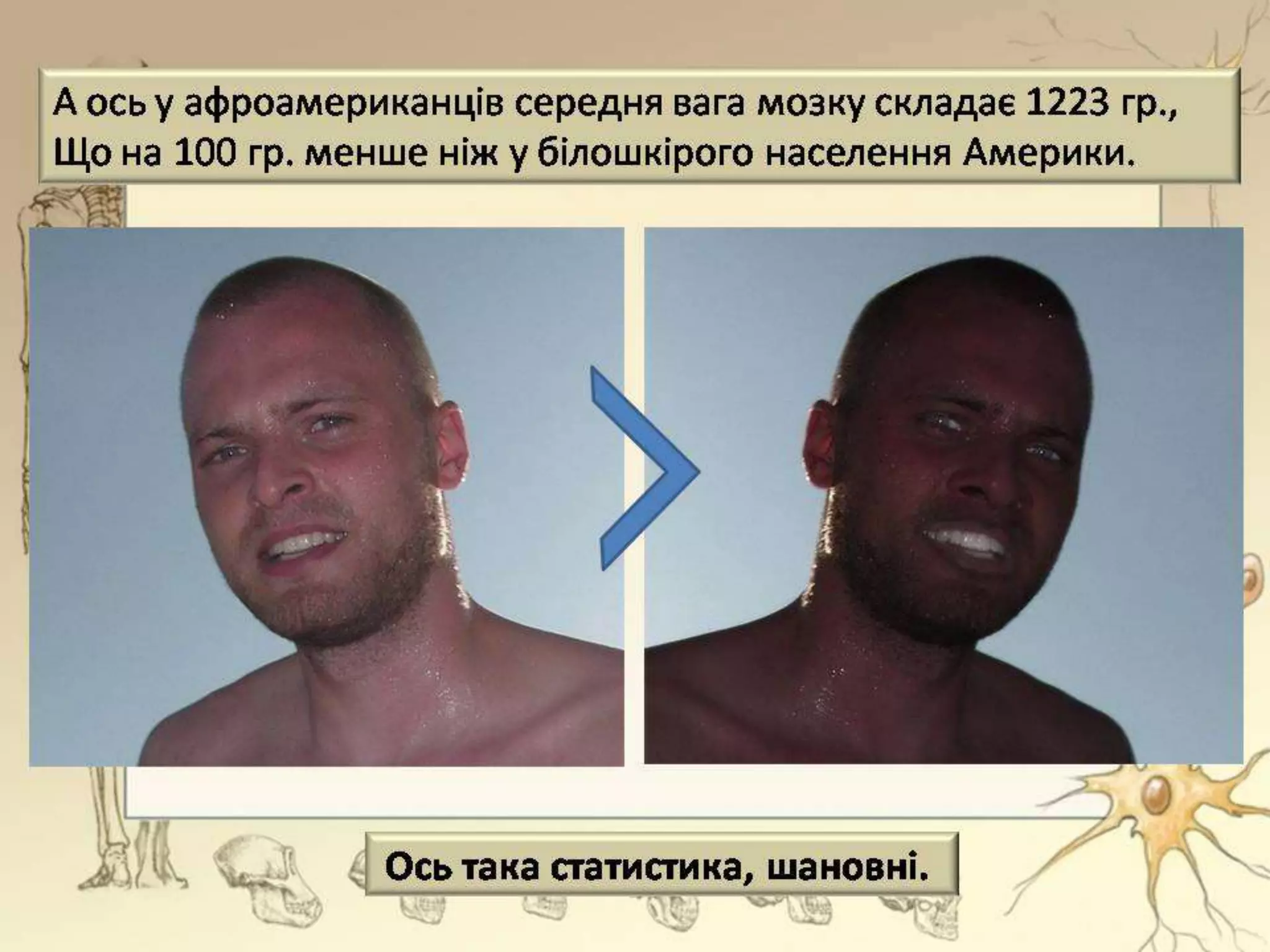 Місце мозку в тілі
 Головний мозок міститься у черепній
коробці і займає, майже, весь її об’єм.
 