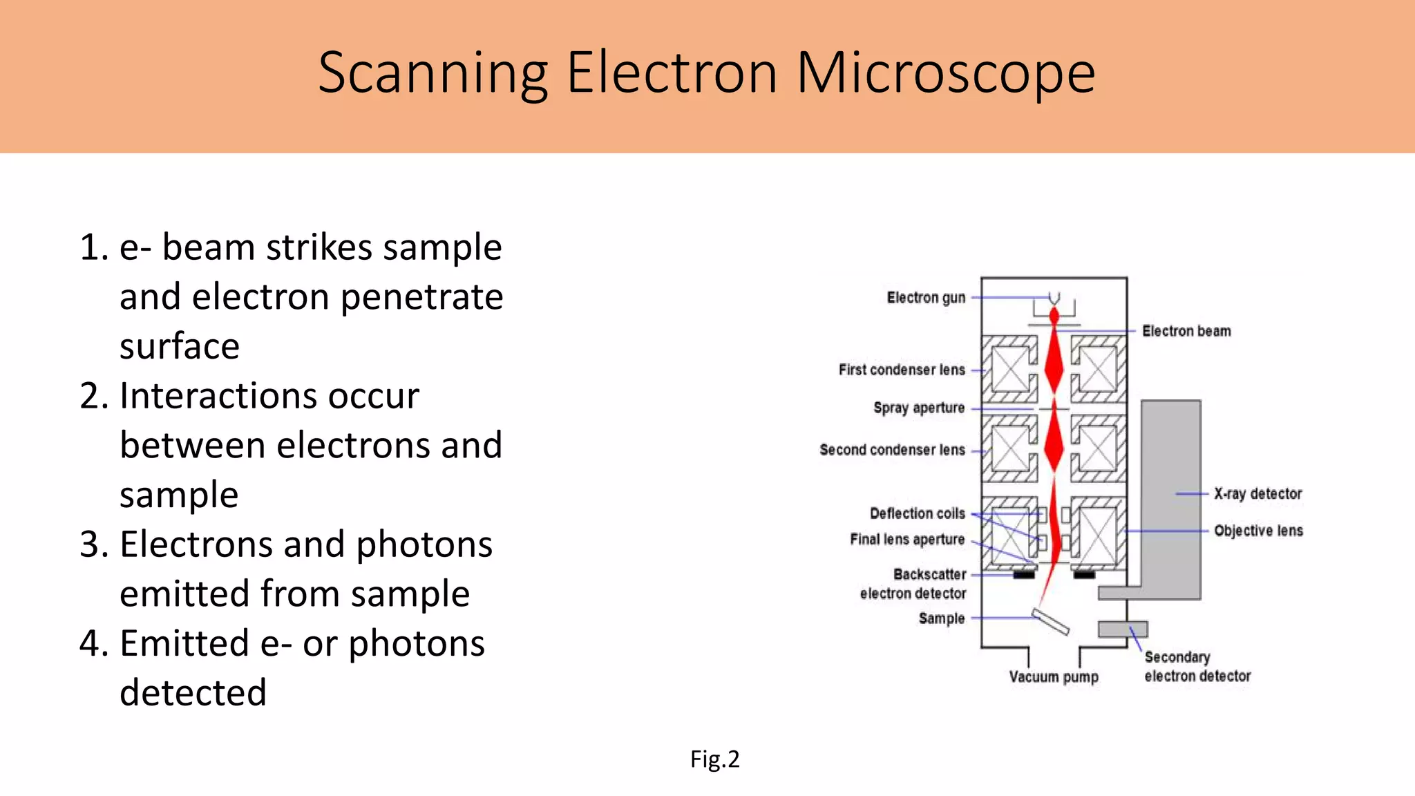 Scanning Electron Microscope
1. e- beam strikes sample
and electron penetrate
surface
2. Interactions occur
between electrons and
sample
3. Electrons and photons
emitted from sample
4. Emitted e- or photons
detected
Fig.2
 