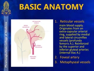 BASIC ANATOMYPhramongkutklaoCollegeofMedicine
1. Reticular vessels
main blood supply.
Originates from an
extra-capsular arterial
ring, supplied by medial
and lateral circumflex
vessels (profunda
femoris A.). Reinforced
by the superior and
inferior gluteal arteries
(internal iliac A.)
2. Foveal artery
3. Metaphyseal vessels
 