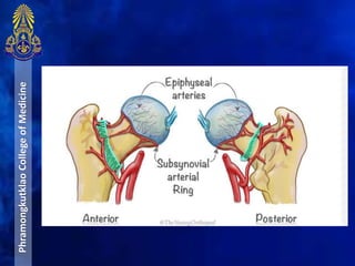 PhramongkutklaoCollegeofMedicine
 