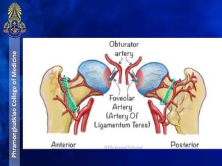 PhramongkutklaoCollegeofMedicine
 