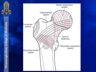 PhramongkutklaoCollegeofMedicine
 
