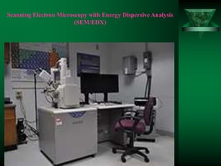 Scanning Electron Microscopy with Energy Dispersive Analysis
(SEM/EDX)
 