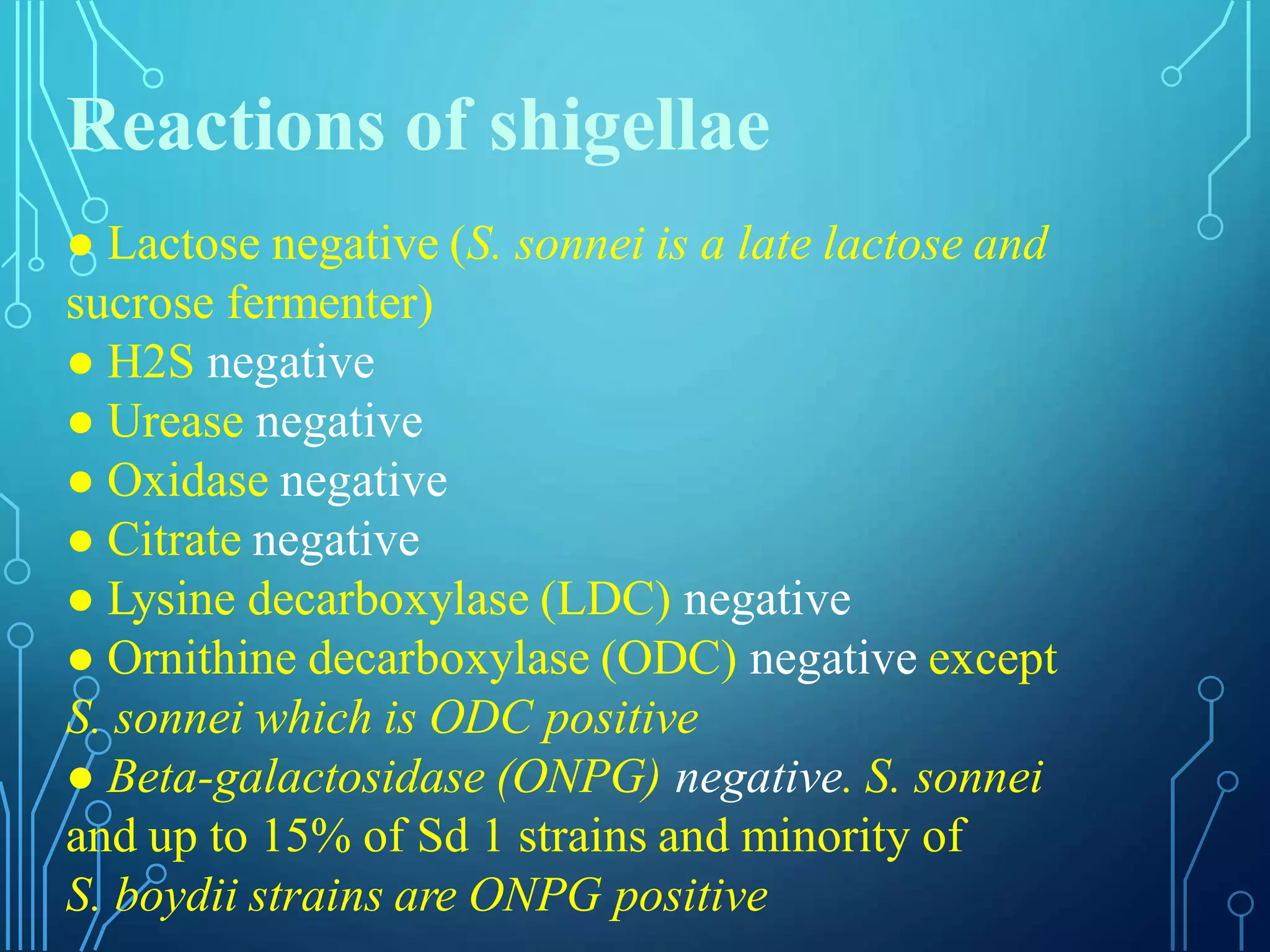 .Shigella Dr. mahadi ppt | PPT