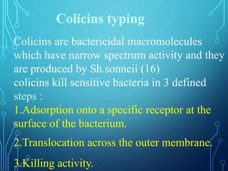 Colicins are bactericidal macromolecules
which have narrow spectrum activity and they
are produced by Sh.sonneii (16)
colicins kill sensitive bacteria in 3 defined
steps :
1.Adsorption onto a specific receptor at the
surface of the bacterium.
2.Translocation across the outer membrane.
3.Killing activity.
Colicins typing
 