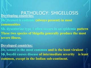 PATHOLOGY: SHIGELLOSISDeveloping countries:
Sh. flexneri is endemic (always present) in most
communities
Sh. dysenteriae type 1 often occurs in an epidemic pattern
These two species of Shigella generally produce the most
severe illness.
Developed countries:
Sh. sonnei is the most common and is the least virulent
Sh. boydii causes disease of intermediate severity is least
common, except in the Indian sub-continent.
 