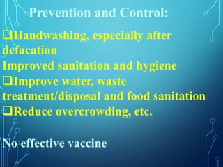 Handwashing, especially after
defacation
Improved sanitation and hygiene
Improve water, waste
treatment/disposal and food sanitation
Reduce overcrowding, etc.
No effective vaccine
Prevention and Control:
 