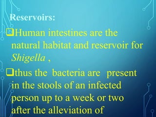 Reservoirs:
Human intestines are the
natural habitat and reservoir for
Shigella ,
thus the bacteria are present
in the stools of an infected
person up to a week or two
after the alleviation of
 
