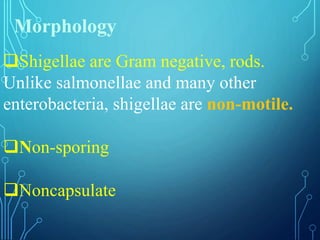 Morphology
Shigellae are Gram negative, rods.
Unlike salmonellae and many other
enterobacteria, shigellae are non-motile.
Non-sporing
Noncapsulate
 
