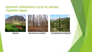 Spectral reflectance curve in various
vegetation types
GRASS DECIDUOUS FOREST CONIFEROUS FOREST
 