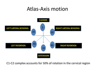 Spinal orthotics and walking aids | PPTX