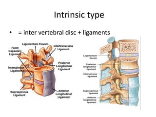 Intravertical Spinal orthotics and walking aids | PPTX