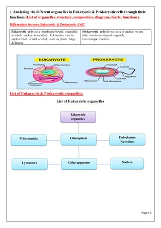 Page | 1
2. Analyzing the different organelles in Eukaryotic & Prokaryotic cells through their
functions (List of organelles,structure, composition, diagram, charts, functions).
Differentiate between Eukaryotic & Prokaryotic Cell?
Eukaryotic cells have membrane-bound organelles
in which nucleus is included. Eukaryotes can be
single-celled or multi-celled, such as plants, fungi,
& insects.
Prokaryotic cells do not have a nucleus or any
other membrane-bound organelle.
For example Bacteria.
List of Eukaryotic & Prokaryotic organelles:
List of Eukaryotic organelles
Eukaryotic
organelles
organelle
Chloroplasts
Golgi apparatusLysosomes
Endoplasmic
Reticulum
Mitochondria
Nucleus
 