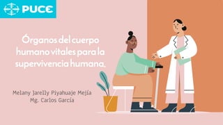 Melany Jarelly Piyahuaje Mejía
Mg. Carlos García
Órganosdelcuerpo
humanovitalesparala
supervivenciahumana.
 