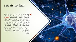 ‫العقل؟‬ ‫هذا‬ ‫عمل‬ ‫كيفية‬

‫أوال‬
‫هناك‬
‫إشارات‬
‫من‬
‫البيئة‬
:
‫البي‬
‫ئة‬
‫الداخلية‬
‫والبيئة‬
،‫الخارجية‬
‫الدماغ‬
،
‫وظيفة‬
‫الدماغ‬
‫هي‬
‫استقبال‬
‫اإلشارا‬
،‫ت‬
‫ثم‬
‫تفسير‬
‫تلك‬
،‫اإلشارات‬
‫ثم‬
‫ار‬
‫سال‬
‫المعلومات‬
‫الى‬
،‫الخاليا‬
‫للتحكم‬
‫ف‬
‫ي‬
‫السلوك‬
،‫والجينات‬
‫لذا‬
‫فان‬
‫وظيف‬
‫ة‬
‫الدماغ‬
‫هي‬
‫االدراك‬
‫ومن‬
‫ذلك‬
‫يخلق‬
‫العقل‬
.
 