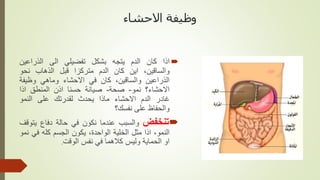 ‫االحشاء‬ ‫وظيفة‬

‫اذا‬
‫كان‬
‫الدم‬
‫يتجه‬
‫بشكل‬
‫تفضيلي‬
‫الى‬
‫الذراعين‬
،‫والساقين‬
‫اين‬
‫كان‬
‫الدم‬
‫متركزا‬
‫قبل‬
‫الذهاب‬
‫نحو‬
‫الذراعين‬
،‫والساقين‬
‫كان‬
‫في‬
‫االحشاء‬
‫وماهي‬
‫وظيفة‬
‫االحشاء؟‬
‫نمو‬
-
‫صحة‬
-
‫صيانة‬
‫حسنا‬
‫اذن‬
‫المنطق‬
‫اذا‬
‫غادر‬
‫الدم‬
‫االحشاء‬
‫ماذا‬
‫يحدث‬
‫لقدرتك‬
‫على‬
‫النمو‬
‫والحفاظ‬
‫على‬
‫نفسك؟‬

‫تنخفض‬
‫والسبب‬
‫عندما‬
‫نكون‬
‫في‬
‫حالة‬
‫دفاع‬
‫يت‬
‫وقف‬
،‫النمو‬
‫اذا‬
‫مثل‬
‫الخلية‬
،‫الواحدة‬
‫يكون‬
‫الجسم‬
‫كله‬
‫في‬
‫نمو‬
‫او‬
‫الحماية‬
‫وليس‬
‫كالهما‬
‫في‬
‫نفس‬
‫الوقت‬
.
 