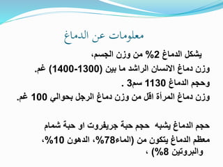 ‫الدماغ‬ ‫عن‬ ‫معلومات‬
‫الدماغ‬ ‫يشكل‬
2
%
،‫الجسم‬ ‫وزن‬ ‫من‬
‫بين‬ ‫ما‬ ‫الراشد‬ ‫االنسان‬ ‫دماغ‬ ‫وزن‬
(
1300
-
1400
)
‫غم‬
.
‫الدماغ‬ ‫وحجم‬
1130
‫سم‬
3
.
‫بحوالي‬ ‫الرجل‬ ‫دماغ‬ ‫وزن‬ ‫من‬ ‫اقل‬ ‫المرأة‬ ‫دماغ‬ ‫وزن‬
100
‫غم‬
.
‫شمام‬ ‫حبة‬ ‫او‬ ‫جريفروت‬ ‫حبة‬ ‫حجم‬ ‫يشبه‬ ‫الدماغ‬ ‫حجم‬
‫من‬ ‫يتكون‬ ‫الدماغ‬ ‫معظم‬
(
‫الماء‬
78
%
‫الدهون‬ ،
10
%
،
‫والبروتين‬
8
)%
،
 