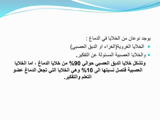 ‫الدماغ‬ ‫في‬ ‫الخاليا‬ ‫من‬ ‫نوعان‬ ‫يوجد‬
:

‫الغروية‬ ‫الخاليا‬
(
‫العصبي‬ ‫الدبق‬ ‫او‬ ‫الغراء‬
)

‫العصبية‬ ‫والخاليا‬
‫التفكير‬ ‫عن‬ ‫المسئولة‬
.
‫حوالي‬ ‫العصبي‬ ‫الدبق‬ ‫خاليا‬ ‫وتشكل‬
90
%
‫الخاليا‬ ‫اما‬ ، ‫الدماغ‬ ‫خاليا‬ ‫من‬
‫الى‬ ‫نسبتها‬ ‫فتصل‬ ‫العصبية‬
10
%
‫عضو‬ ‫الدماغ‬ ‫تجعل‬ ‫التي‬ ‫الخاليا‬ ‫وهي‬
‫والتفكير‬ ‫التعلم‬
.
 