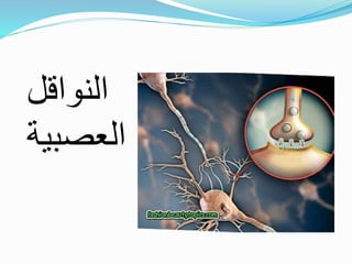 ‫النواقل‬
‫العصبي‬
‫ة‬
 