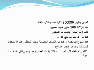 ‫يطور‬ ‫الجنين‬
250000
‫دقيقة‬ ‫كل‬ ‫عصبية‬ ‫خلية‬
‫الوالدة‬ ‫عند‬
100
‫عصبية‬ ‫خلية‬ ‫مليار‬
‫التحفيز‬ ‫مع‬ ‫ينشط‬ ‫كاالسفنح‬ ‫الدماغ‬
‫سن‬ ‫عند‬
4
‫الذروة‬ ‫يبلغ‬ ‫سنوات‬
‫وعدم‬ ‫التحلل‬ ‫بسبب‬ ‫العصبية‬ ‫الخاليا‬ ‫من‬ ‫عدد‬ ‫خسارة‬ ‫يتم‬ ‫البلوغ‬ ‫عند‬
‫االستخدام‬
‫الدماغ‬ ‫تحفيز‬ ‫من‬ ‫تزيد‬ ‫التحديات‬
‫ل‬ ‫يعطي‬ ‫مما‬ ‫العصبية‬ ‫التشابكات‬ ‫وعدد‬ ‫نمو‬ ‫تثير‬ ‫التعلم‬ ‫بيئة‬ ‫اغناء‬
‫عدة‬ ‫خلية‬ ‫كل‬
‫ممرات‬
 