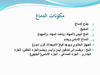 ‫الدماغ‬ ‫مكوانت‬
.1
‫الدماغ‬ ‫جذ‬
:
.2
‫المخيخ‬
.3
‫البيني‬ ‫المخ‬
)
‫والمهيد‬ ،‫المهاد‬ ‫وتحت‬ ،‫المهاد‬
)
.4
‫ويضم‬ ‫األمامي‬ ‫الدماغ‬

‫فيه‬ ‫ويوجد‬ ‫الحشوي‬ ‫الجهاز‬
(
‫امون‬ ‫قرن‬ ،‫االميجداال‬
)

‫المخ‬
:
‫وأيسر‬ ‫أيمن‬ ‫نصفين‬ ‫إلى‬ ‫ويقسم‬
‫ويضم‬
:
‫الخلفي‬ ‫الجزء‬
،
‫الجز‬
‫ء‬
‫الجداري‬
،
‫الصدغي‬ ‫الجزء‬
،
‫األمامي‬ ‫الجزء‬
(
‫الجبهي‬
)
:
 