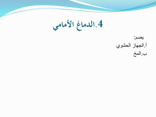 4
.
‫األمامي‬ ‫الدماغ‬
‫يضم‬
:
‫أ‬
.
‫الحشوي‬ ‫الجهاز‬
‫ب‬
.
‫المخ‬
 