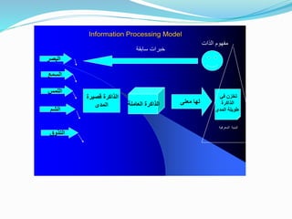 Information Processing Model
 