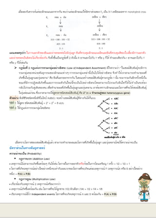 เมื่อลองวิเคราะห์แต่ละลักษณะแยกจากกัน พบว่าแต่ละลักษณะให้อัตราส่วนของ F2 เป็น 3:1 เหมือนผลจาก monohybrid cross
เมนเดลสรุปว่า ในการแยกตัวของยีนและถ่ายทอดต่อไปยังรุ่นลูก ยีนที่ควบคุมลักษณะเมล็ดและยีนที่ควบคุมสีของใบเลี้ยงมีการแยกตัว
และถ่ายทอดเป็นอิสระไม่เกี่ยวข้องกัน จึงตั้งขึ้นเป็นกฎข้อที่ 2 ดังนั้น R อาจแยกไปกับ Y หรือ y ก็ได้ ทำนองเดียวกัน r อาจแยกไปกับ Y
หรือ y ก็ได้เช่นกัน
➢ กฎข้อที่ 2 กฎแห่งการรวมกลุ่มอย่างอิสระ (Law of Independent Assortment) มีใจความว่า “ในเซลล์สืบพันธุ์จะมีการ
รวมกลุ่มของหน่วยพันธุกรรมของลักษณะต่างๆ การรวมกลุ่มเหล่านี้เป็นไปได้อย่างอิสระ จึงทำให้เราสามารถทำนายผลที่
เกิดขึ้นในรุ่นลูกและรุ่นหลาน” คือ ยีนที่แยกออกจากกัน ในขณะสร้างเซลล์สืบพันธุ์ตามกฎข้อ 1 นั้น จะมารวมกันอีกครั้งหนึ่งใน
ขณะที่มีการปฏิสนธิเกิดขึ้นและการรวมตัวกันใหม่นี้จะเป็นไปอย่างอิสระโดยสามารถไปรวมกับยีนใดก็ได้ไม่จำเป็นจะต้อง
กลับไปรวมกับคู่เดิมของตน เพื่อทำนายผลที่เกิดขึ้นในรุ่นลูกและรุ่นหลาน เราต้องทราบลักษณะและโอกาสที่จะได้เซลล์สืบพันธุ์
ในรุ่นพ่อแม่ก่อน ซึ่งเราสามารถใช้สูตรหาชนิดเซลล์สืบพันธุ์ คือ 2n
(n = จำนวนคู่ของ heterozygous gene)
ตัวอย่าง สิ่งมีชีวิตชนิดหนึ่งมีจีโนไทป์ AaBbCc จะสร้างเซลล์สืบพันธุ์ที่ต่างกันได้กี่แบบ
วิธีที่ 1: ใช้สูตร ชนิดเซลล์สืบพันธุ์ = 2n = 23 = 8 แบบ
วิธีที่ 2: ใช้กฎแห่งการรวมกลุ่มโดยอิสระ
เมื่อทราบโอกาสของเซลล์สืบพันธุ์แล้ว สามารถทำนายผลและโอกาสที่เกิดขึ้นในรุ่นลูก และรุ่นหลานโดยใช้ความน่าจะเป็น
อัตราส่วนในทางพันธุศาสตร์
ความน่าจะเป็น (Probability)
▪ กฎการบวก (Addition Law)
• เหตุการณ์ไม่สามารถเกิดขึ้นพร้อมๆ กันได้เช่น โอกาสในการออกหัวหรือก้อยในการโยนเหรียญ 1 ครั้ง = 1/2 + 1/2 = 1
• โอกาสที่เกิดเหตุการณ์อย่างใดอย่างหนึ่งจะเท่ากับผลบวกของโอกาสที่จะเกิดแต่ละเหตุการณ์ P (เหตุการณ์A หรือ B อย่างใดอย่าง
หนึ่ง) = P(A) + P(B)
▪ กฎการคูณ (Multiplication Law)
• เกี่ยวข้องกับเหตุการณ์ 2 เหตุการณ์หรือมากกว่า
• เหตุการณ์เกิดขึ้นพร้อมกัน เช่น โอกาสที่จะได้ลูกชาย (1/2) ผิวเผือก (1/4) = 1/2 x 1/4 = 1/8
• เรียกเหตุการณ์นี้ว่า Independent events โอกาสที่จะเกิดเหตุการณ์ A และ B พร้อมกัน = P(A) x P(B)
 