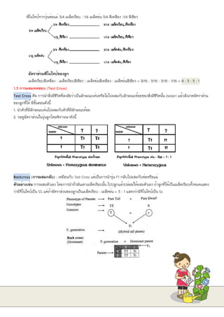 ฟีโนไทป์จากรุ่นพ่อแม่ 3/4 เมล็ดเรียบ : 1/4 เมล็ดย่น 3/4 สีเหลือง :1/4 สีเขียว
อัตราส่วนฟีโนไทป์ของลูก
เมล็ดเรียบสีเหลือง : เมล็ดเรียบสีเขียว : เมล็ดย่นสีเหลือง : เมล็ดย่นสีเขียว = 9/16 : 3/16 : 3/16 : 1/16 = 9 : 3 : 3 : 1
1.3 การผสมทดสอบ (Test Cross)
Test Cross คือ การนำสิ่งมีชีวิตที่สงสัยว่าเป็นลักษณะเด่นหรือไม่ไปผสมกับลักษณะด้อยของสิ่งมีชีวิตนั้น (tester) แล้วสังเกตอัตราส่วน
ของลูกที่ได้ มีขั้นตอนดังนี้
1. นำตัวที่มีลักษณะเด่นไปผสมกับตัวที่มีลักษณะด้อย
2. รอดูอัตราส่วนในรุ่นลูกโดยพิจารณาดังนี้
Backcross (การผสมกลับ) : เหมือนกับ Test Cross แต่เป็นการนำรุ่น F1 กลับไปผสมกับพ่อหรือแม่
ตัวอย่างเช่น การผสมตัวเอง โดยการนำถั่วลันเตาเมล็ดเรียบนั้น ไปปลูกแล้วปล่อยให้ผสมตัวเอง ถ้าลูกที่ได้เป็นเมล็ดเรียบทั้งหมดแสดง
ว่ามีจีโนไทป์เป็น SS แต่ถ้าอัตราส่วนของลูกเป็นเมล็ดเรียบ : เมล็ดย่น = 3 : 1 แสดงว่ามีจีโนไทป์เป็น Ss
 