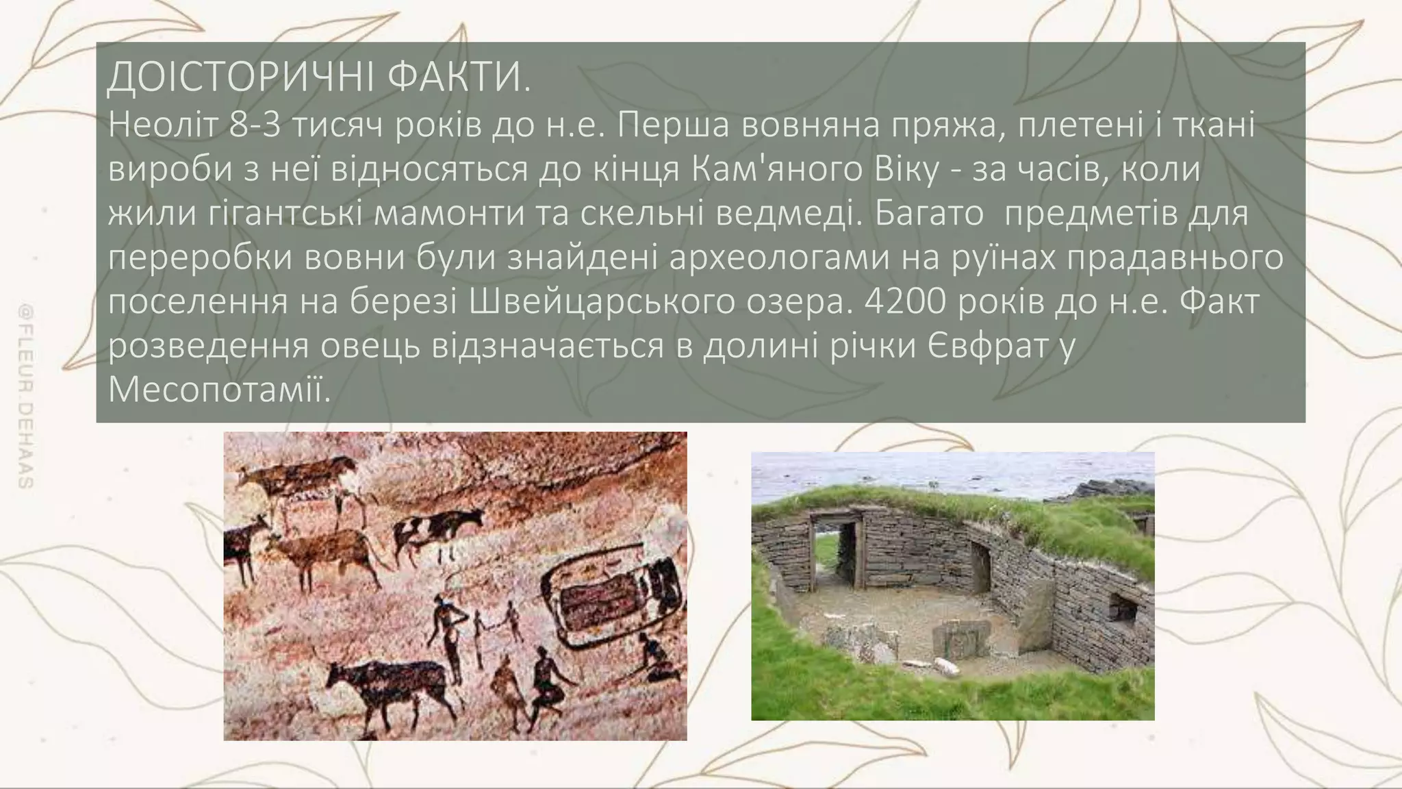 НАТУРАЛЬНІ ВОЛОКНА ТВАРИННОГО ПОХОДЖЕННЯ | PPT