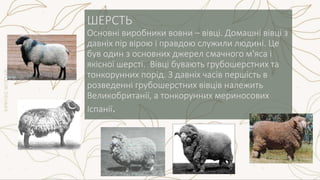 НАТУРАЛЬНІ ВОЛОКНА ТВАРИННОГО ПОХОДЖЕННЯ | PPT