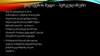 ქალაქების ბედი - ჰერკულანუმი
• ქალაქი ვეზუვისგან 4 კმ-ის
მოშორებითაა. გაჩენილ ნაპრალებში
ჩაღვრილმა ლავამ ფერფლთან და
ზღვის ქაფთან ერთად შექმნა სქელი
წებოვანი ტალახი - ლაპილია,
რომელიც ქალაქისკენ დაიძრა და
გზადაგზა ნთქავდა ყველაფერს. ქალაქი
20 მეტრიან ტალახში გაქვავდა.
• მოსახლეობამ ქალაქი დროულად
დატოვა რამდენიმე უბედურის გარდა.
ქონების გადარჩენაზე არავის
უფიქრია...
 