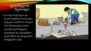 ფიორელის
მეთოდი
• ფიორელიმ ფერფლსა და
ლავაში გაჩენილი სიცარიელე
თხევადი თაბაშირით ამოავსო.
ამით შესაძლებელი გახდა
კატასტროფის შედეგად
დაღუპული და გაქვავებული
ადამიანებისა და ცხოველების
ანაბეჭდების აღება.
 