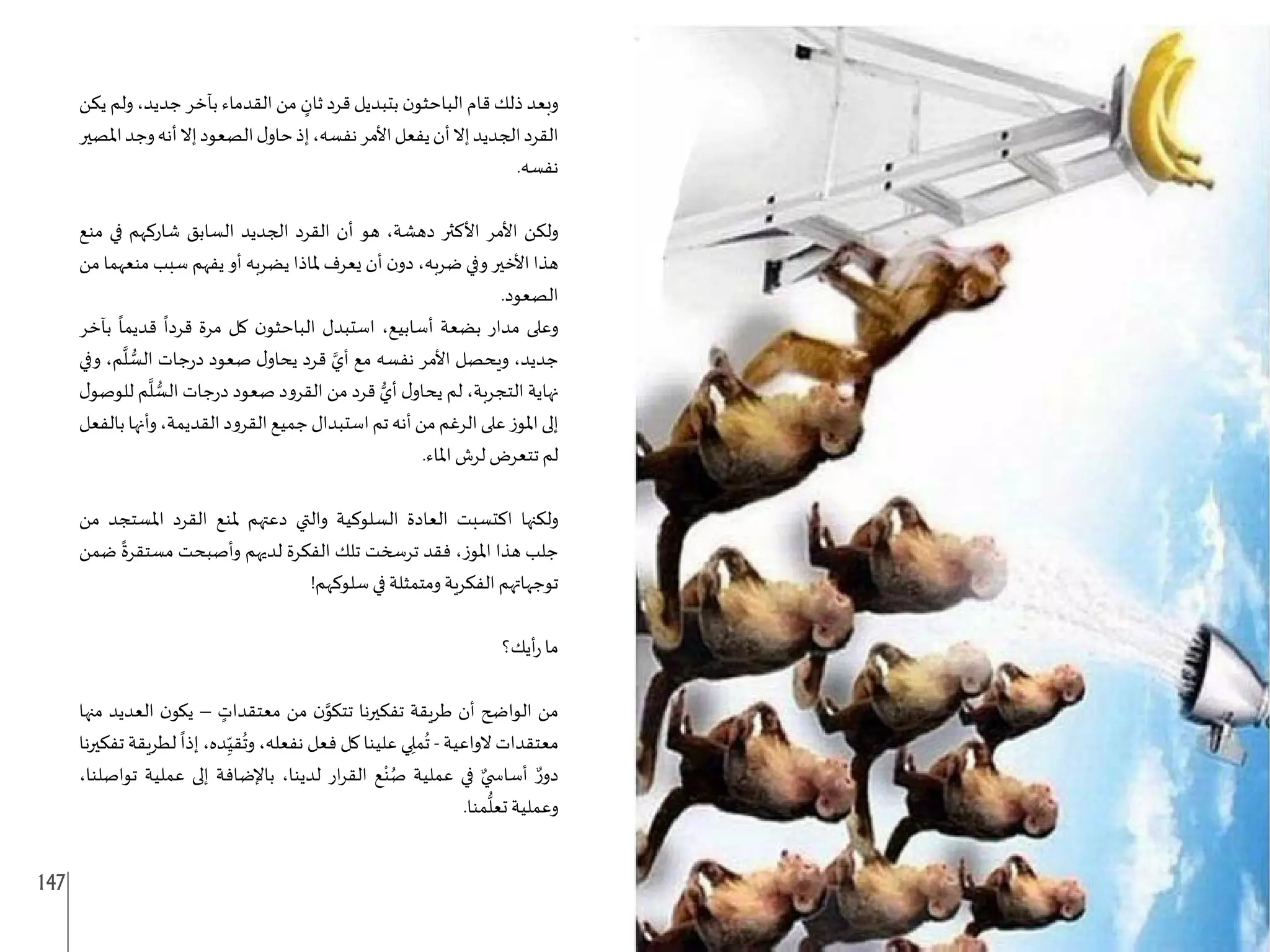 147 146
‫يكن‬ ‫ولم‬ ،‫جديد‬ ‫بآخر‬ ‫القدماء‬ ‫من‬ ٍ
‫ثان‬ ‫قرد‬ ‫بتبديل‬ ‫ن‬‫الباحثو‬ ‫قام‬ ‫ذلك‬ ‫وبعد‬
‫املصير‬‫وجد‬‫أنه‬‫إال‬‫الصعود‬‫ل‬‫حاو‬‫إذ‬،‫نفسه‬‫األمر‬‫يفعل‬‫أن‬‫إال‬‫الجديد‬‫القرد‬
.‫نفسه‬
‫منع‬ ‫في‬ ‫شاركهم‬ ‫السابق‬ ‫الجديد‬ ‫القرد‬ ‫أن‬ ‫هو‬ ،‫دهشة‬ ‫األكثر‬ ‫األمر‬ ‫ولكن‬
‫من‬ ‫منعهما‬ ‫سبب‬ ‫يفهم‬ ‫أو‬ ‫يضربه‬ ‫ملاذا‬ ‫يعرف‬ ‫أن‬ ‫ن‬‫دو‬ ،‫ضربه‬ ‫وفي‬ ‫األخير‬ ‫هذا‬
.‫الصعود‬
‫بآخر‬
ً
‫قديما‬
ً
‫قردا‬ ‫مرة‬ ‫كل‬ ‫ن‬‫الباحثو‬ ‫استبدل‬ ،‫أسابيع‬ ‫بضعة‬ ‫مدار‬ ‫وعلى‬
‫وفي‬ ،‫م‬
َّ
‫ل‬ ُّ
‫الس‬ ‫جات‬‫ر‬‫د‬ ‫صعود‬ ‫ل‬‫يحاو‬ ‫قرد‬ َّ‫أي‬ ‫مع‬ ‫نفسه‬ ‫األمر‬ ‫ويحصل‬ ،‫جديد‬
‫ل‬‫للوصو‬ ‫م‬
َّ
‫ل‬ ُّ
‫الس‬ ‫جات‬‫ر‬‫د‬ ‫صعود‬ ‫القرود‬ ‫من‬ ‫قرد‬ ُّ‫أي‬ ‫ل‬‫يحاو‬ ‫لم‬ ،‫التجربة‬ ‫نهاية‬
‫بالفعل‬‫وأنها‬،‫القديمة‬‫القرود‬‫جميع‬‫استبدال‬‫تم‬‫أنه‬‫من‬‫الرغم‬‫على‬‫املوز‬‫إلى‬
.‫املاء‬ ‫لرش‬ ‫تتعرض‬ ‫لم‬
‫من‬ ‫املستجد‬ ‫القرد‬ ‫ملنع‬ ‫دعتهم‬ ‫والتي‬ ‫السلوكية‬ ‫العادة‬ ‫اكتسبت‬ ‫ولكنها‬
‫ضمن‬
ً
‫مستقرة‬ ‫وأصبحت‬ ‫لديهم‬ ‫الفكرة‬ ‫تلك‬ ‫ترسخت‬ ‫فقد‬ ،‫املوز‬ ‫هذا‬ ‫جلب‬
!‫سلوكهم‬ ‫في‬ ‫ومتمثلة‬ ‫الفكرية‬ ‫توجهاتهم‬
‫أيك؟‬‫ر‬ ‫ما‬
‫منها‬ ‫العديد‬ ‫ن‬‫يكو‬ – ٍ
‫معتقدات‬ ‫من‬ ‫ن‬َّ
‫تتكو‬ ‫تفكيرنا‬ ‫طريقة‬ ‫أن‬ ‫الواضح‬ ‫من‬
‫تفكيرنا‬ ‫لطريقة‬
ً
‫إذا‬ ،‫ده‬ِ
ّ‫قي‬
ُ
‫وت‬ ،‫نفعله‬ ‫فعل‬ ‫كل‬ ‫علينا‬ ‫ي‬ ِ‫مل‬
ُ
‫ت‬ - ‫الواعية‬ ‫معتقدات‬
،‫تواصلنا‬ ‫عملية‬ ‫إلى‬ ‫باإلضافة‬ ،‫لدينا‬ ‫ار‬‫ر‬‫الق‬ ‫ع‬ْ‫ن‬ُ‫ص‬ ‫عملية‬ ‫في‬ ٌ‫أسا�ضي‬ ٌ‫ر‬‫دو‬
.‫منا‬
ُّ
‫تعل‬ ‫وعملية‬
 