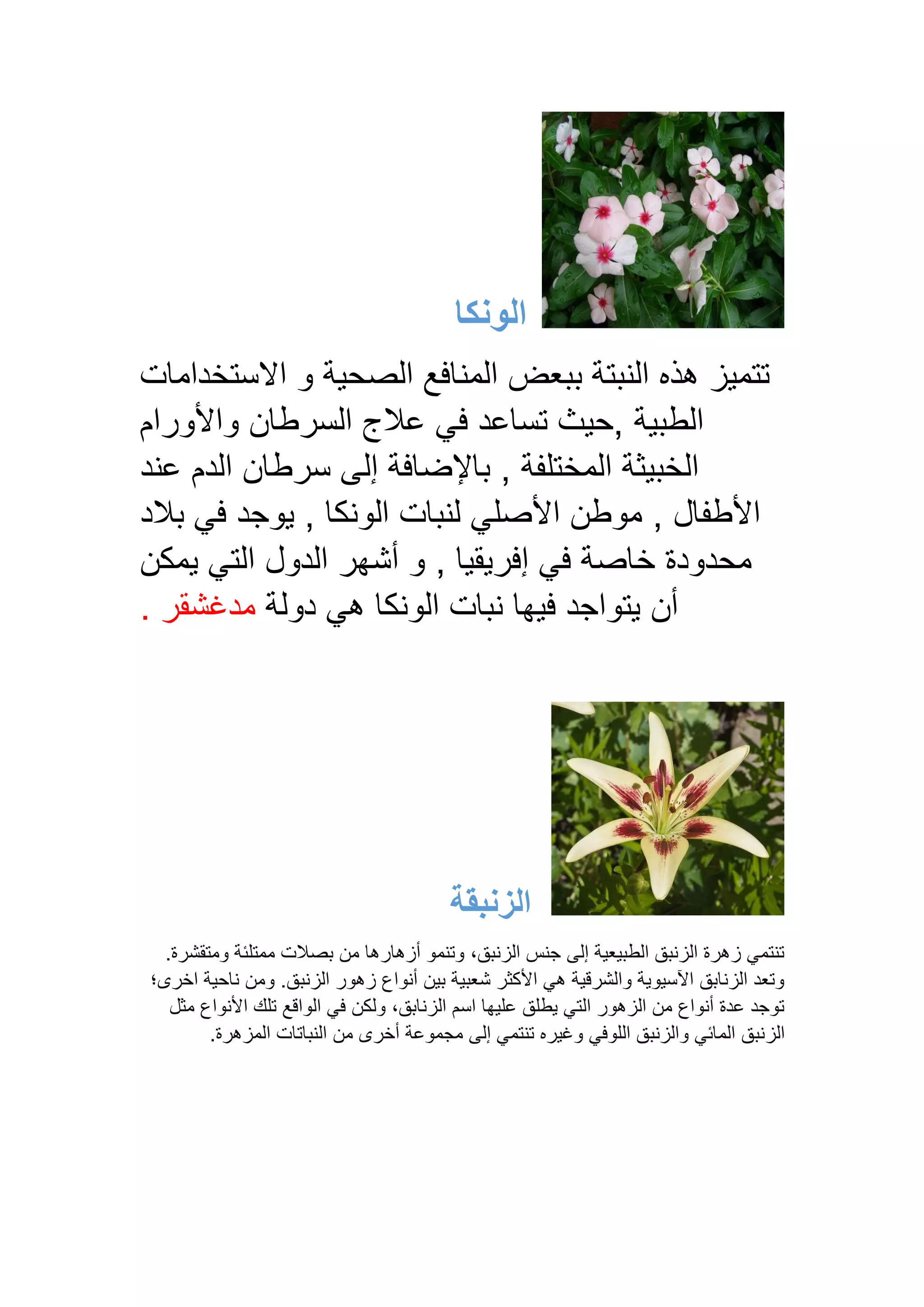 ‫الونكا‬
‫االستخدامات‬ ‫و‬ ‫الصحية‬ ‫المنافع‬ ‫ببعض‬ ‫النبتة‬ ‫هذه‬ ‫تتميز‬
‫الطبية‬
‫واألورام‬ ‫السرطان‬ ‫عالج‬ ‫في‬ ‫تساعد‬ ‫حيث‬,
‫الخبيثة‬
, ‫المختلفة‬
‫إلى‬ ‫باإلضافة‬
‫عند‬ ‫الدم‬ ‫سرطان‬
‫األطفال‬
,
‫الونكا‬ ‫لنبات‬ ‫األصلي‬ ‫موطن‬
,
‫في‬ ‫يوجد‬
‫بالد‬
‫محدود‬
‫ة‬
‫إفريقيا‬ ‫في‬ ‫خاصة‬
,
‫يمكن‬ ‫التي‬ ‫الدول‬ ‫أشهر‬ ‫و‬
‫أن‬
‫دولة‬ ‫هي‬ ‫الونكا‬ ‫نبات‬ ‫فيها‬ ‫يتواجد‬
. ‫مدغشقر‬
‫الزنبقة‬
.‫ومتقشرة‬ ‫ممتلئة‬ ‫بصالت‬ ‫من‬ ‫أزهارها‬ ‫وتنمو‬ ،‫الزنبق‬ ‫جنس‬ ‫إلى‬ ‫الطبيعية‬ ‫الزنبق‬ ‫زهرة‬ ‫تنتمي‬
‫اخرى؛‬ ‫ناحية‬ ‫ومن‬ .‫الزنبق‬ ‫زهور‬ ‫أنواع‬ ‫بين‬ ‫شعبية‬ ‫األكثر‬ ‫هي‬ ‫والشرقية‬ ‫اآلسيوية‬ ‫الزنابق‬ ‫وتعد‬
‫مثل‬ ‫األنواع‬ ‫تلك‬ ‫الواقع‬ ‫في‬ ‫ولكن‬ ،‫الزنابق‬ ‫اسم‬ ‫عليها‬ ‫يطلق‬ ‫التي‬ ‫الزهور‬ ‫من‬ ‫أنواع‬ ‫عدة‬ ‫توجد‬
‫الز‬
‫المزهرة‬ ‫النباتات‬ ‫من‬ ‫أخرى‬ ‫مجموعة‬ ‫إلى‬ ‫تنتمي‬ ‫وغيره‬ ‫اللوفي‬ ‫والزنبق‬ ‫المائي‬ ‫نبق‬
.
 