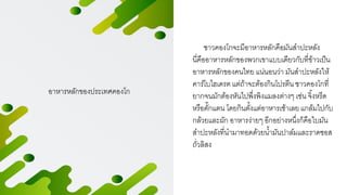 ชาวคองโกจะมีอาหารหลักคือมันสาปะหลัง
นี่คืออาหารหลักของพวกเขาแบบเดียวกับที่ข้าวเป็น
อาหารหลักของคนไทย แน่นอนว่า มันสาปะหลังให้
คาร์โบไฮเดรต แต่ถ้าจะต้องกินโปรตีน ชาวคองโกที่
ยากจนมักต้องหันไปพึ่งพิงแมลงต่างๆ เช่น จิ้งหรีด
หรือตั๊กแตน โดยกินตั้งแต่อาหารเช้าเลย แกล้มไปกับ
กล้วยและผัก อาหารง่ายๆ อีกอย่างหนึ่งก็คือใบมัน
สาปะหลังที่นามาทอดด้วยน้ามันปาล์มและราดซอส
ถั่วลิสง
อาหารหลักของประเทศคองโก
 