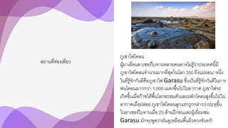 สถานที่ท่องเที่ยว
ภูเขาไฟโคลน
ผู้มาเยือนอาเซอร์ไบจานหลายคนอาจไม่รู้ว่าประเทศนี้มี
ภูเขาไฟโคลนจานวนมากที่สุดในโลก 350 ถึงแน่นอน! หนึ่ง
ในที่รู้จักกันดีคือภูเขาไฟ Garasu ซึ่งเป็นที่รู้จักกันดีในการ
พ่นโคลนมากกว่า 1,000 เมตรขึ้นไปในอากาศ ภูเขาไฟจะ
เกิดขึ้นเมื่อก๊าซใต้พื้นโลกสะสมตัวและผลักโคลนสูงขึ้นไปใน
อากาศเมื่อปล่อย ภูเขาไฟโคลนลูกแรกถูกกล่าวว่าปะทุขึ้น
ในอาเซอร์ไบจานเมื่อ 25 ล้านปีก่อนและผู้เยี่ยมชม
Garasu มักจะพูดว่ามันดูเหมือนพื้นผิวดวงจันทร์!
 
