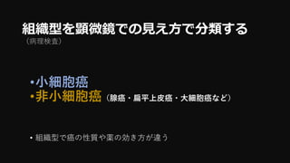 組織型を顕微鏡での見え方で分類する
（病理検査）
•小細胞癌
•非小細胞癌（腺癌・扁平上皮癌・大細胞癌など）
• 組織型で癌の性質や薬の効き方が違う
 