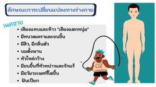 ลักษณะการเปลียนแปลงทางร่างกาย
เสียงแหบและห้าว "เสียงแตกหนุ่ม"
มีหนวดเคราและขนขึน
มีสิว, มีกลินตัว
นมตังพาน
หัวไหล่กว้าง
มีขนขึนทีหัวหน่าวและรักแร้
มีอวัยวะเพศทีโตขึน
ฝนเปยก
เพศชาย
 