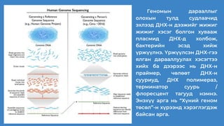 Хүний геномын асуудал биедаалт | PPT
