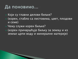  Који су главни делови биљке?
 (корен, стабло са листовима, цвет, плодови
и семе)
 Чему служи корен биљке?
 (корен причвршћује биљку за земљу и из
земље црпи воду и минералне материје)
 