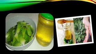 чуваркућа