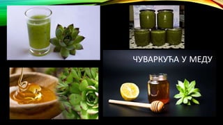 ЧУВАРКУЋА У МЕДУ
 