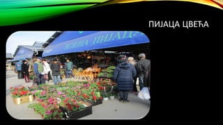 ПИЈАЦА ЦВЕЋА
 