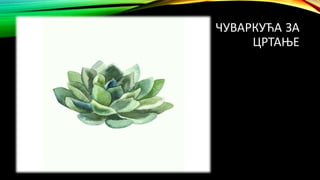 ЧУВАРКУЋА ЗА
ЦРТАЊЕ
 