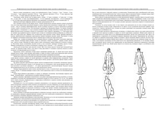 евразийство. том Ii