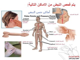 mohammad almaani 2020
 